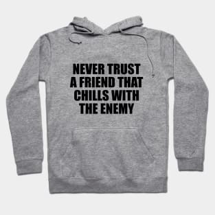 Never trust a friend that chills with the enemy Hoodie